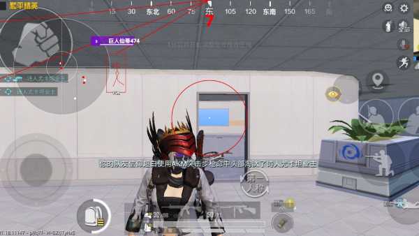 和平精英《迪达拉pro》辅助